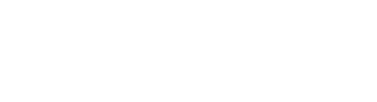AVA Logo